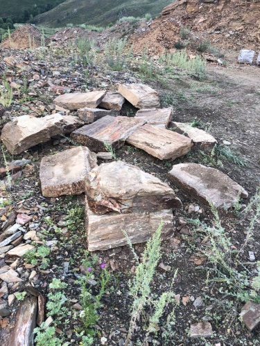 Плитняк кора дерева 50-100мм для пошаговых дорожек купить в Серпухову